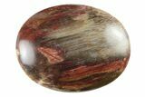1.8" Petrified Wood Pocket Stones  - Photo 3